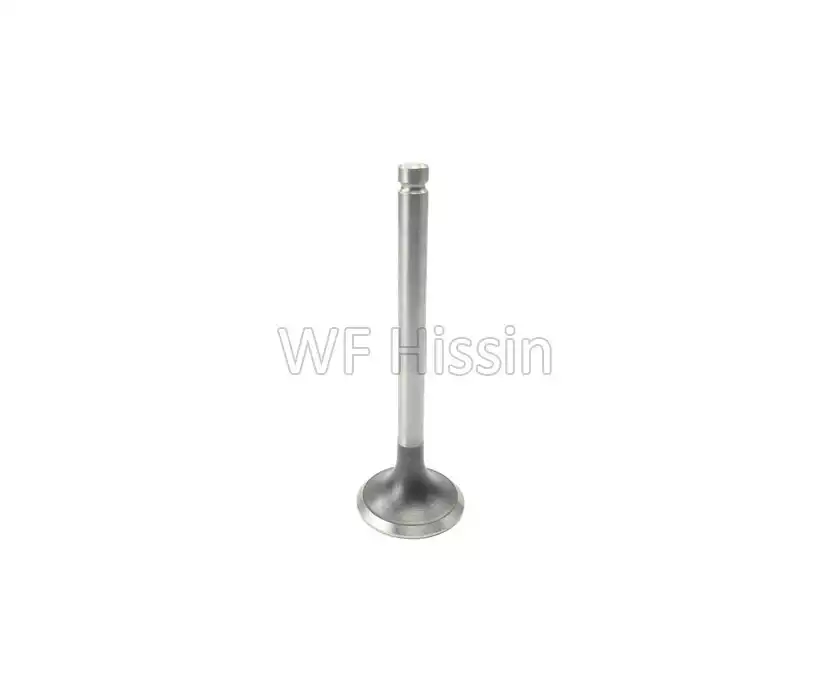 Intake valve 4C6